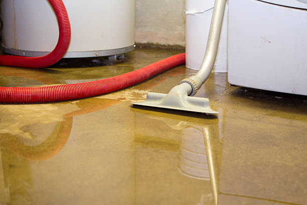 Best Flood damage cleanup  in Cameron, MO