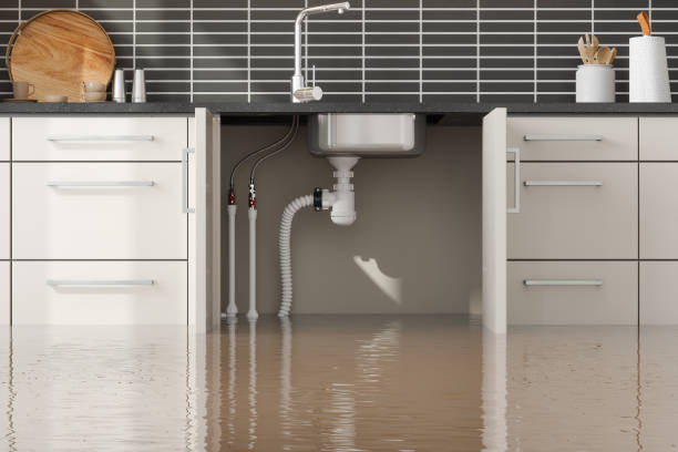 Reliable Cameron, MO Water damage restoration Solutions