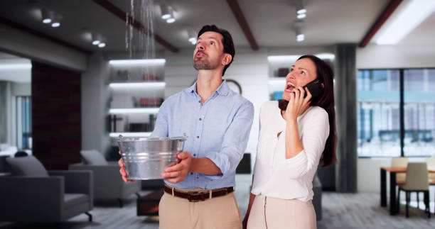 Best Carpet water damage restoration  in Cameron, MO