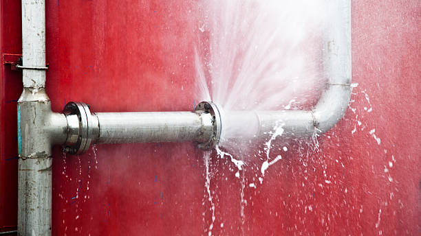 Best Flooded house restoration  in Cameron, MO